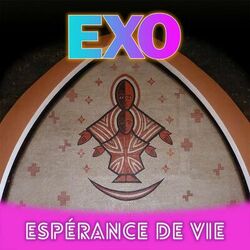 Cover of Espérance de vie
