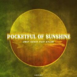 Cover of Pocketful of Sunshine