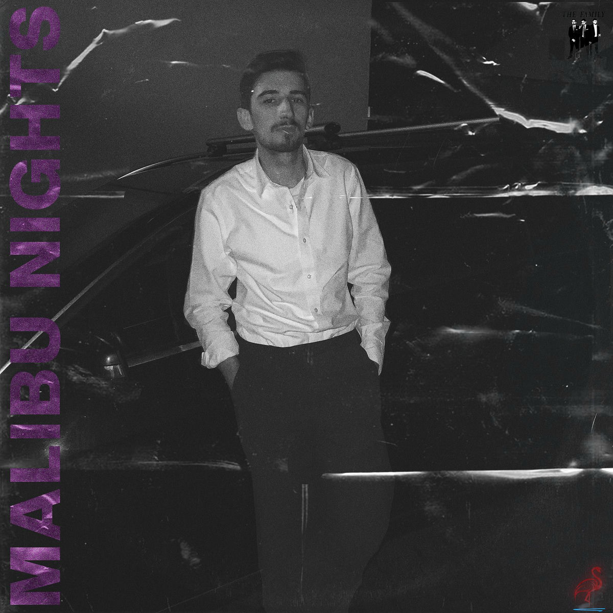 Album cover of Malibu Nights