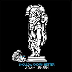 Cover of Shoulda Known Better