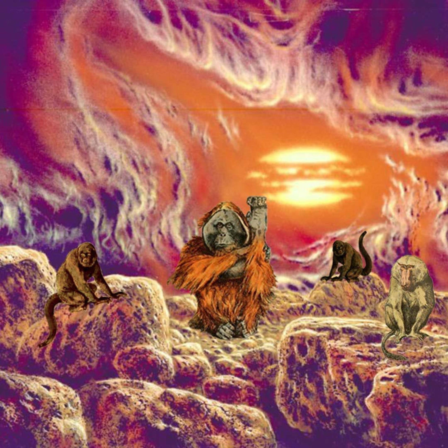 Album cover of Discover