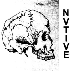 Cover of Native