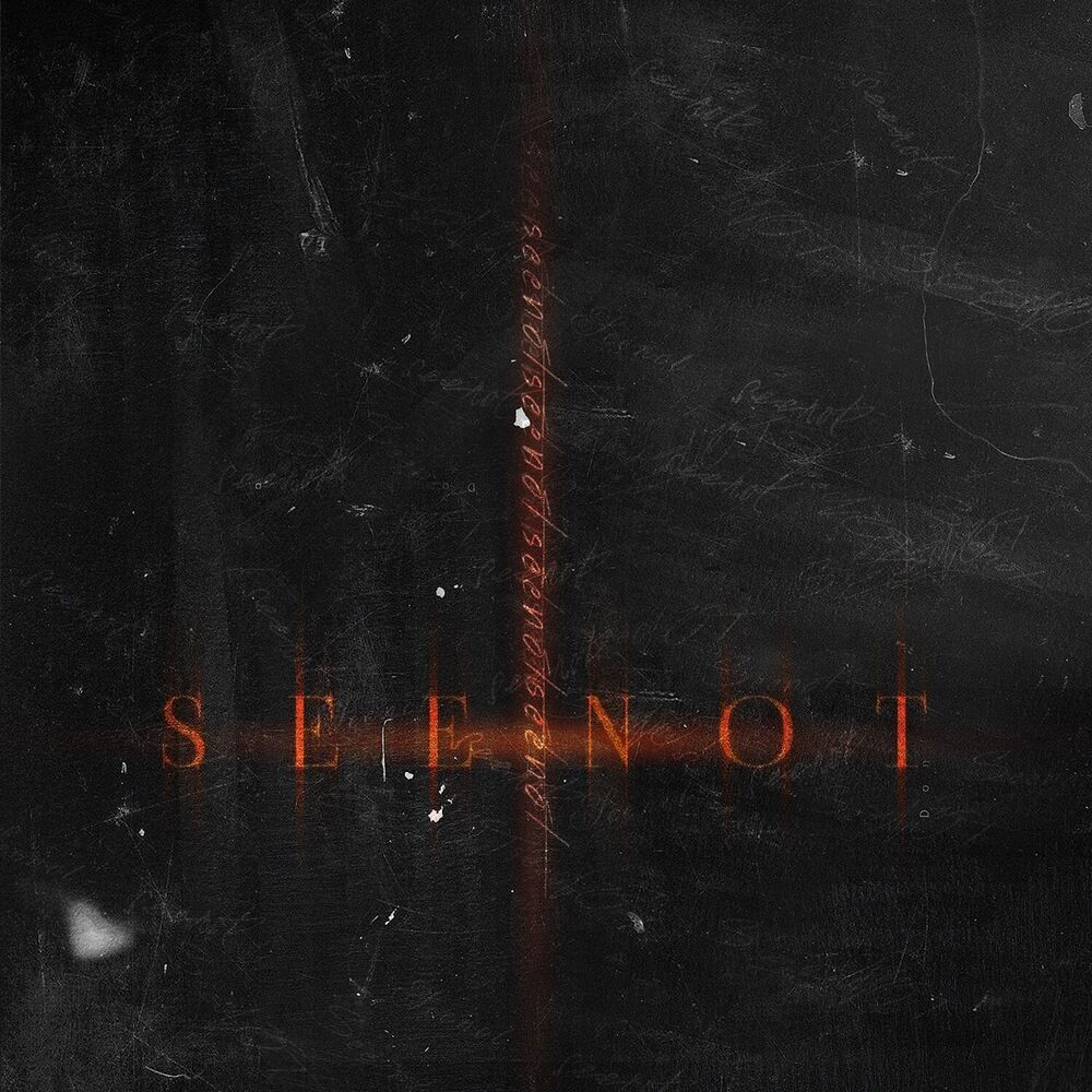 Picture of Seenot
