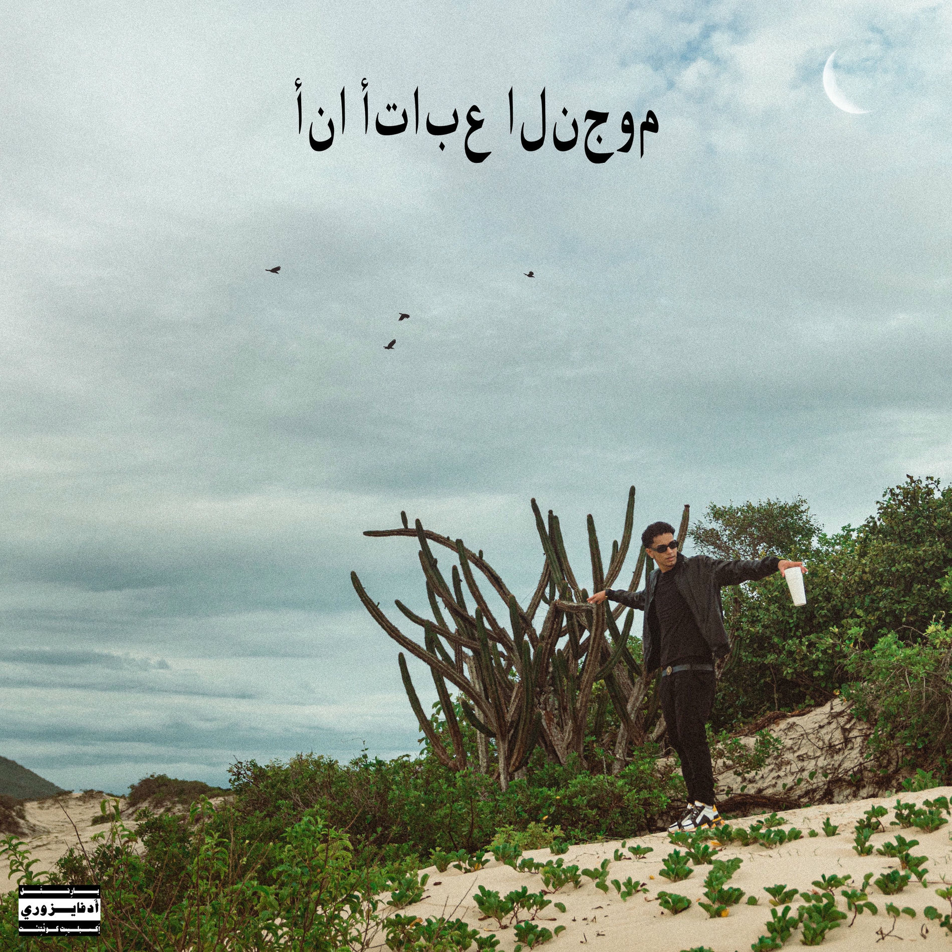 Album cover of Sigo as Estrelas