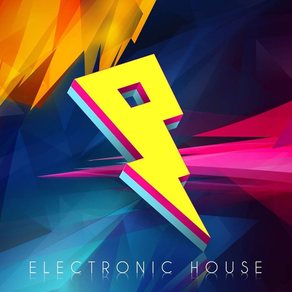 Picture of Electronic House