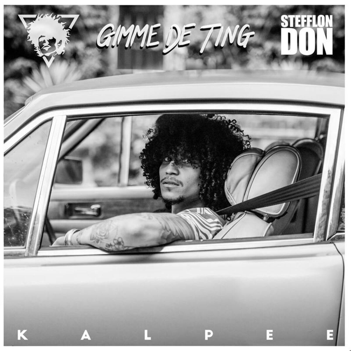 Album cover of Gimme De Ting