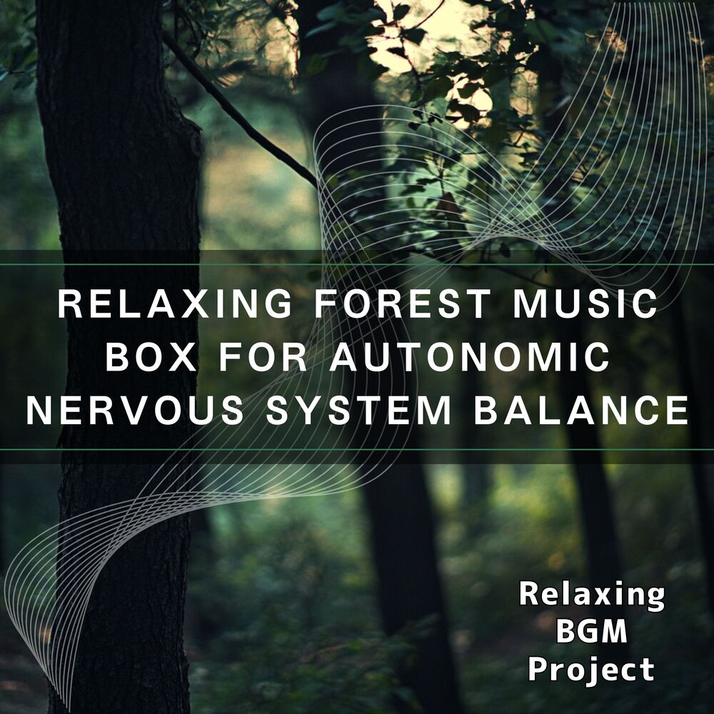 Picture of Relaxing Forest Music Box for Autonomic Nervous System Balance
