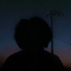 Cover of Chasing Mountains
