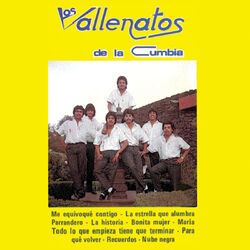 Cover of Me Equivoqué Contigo