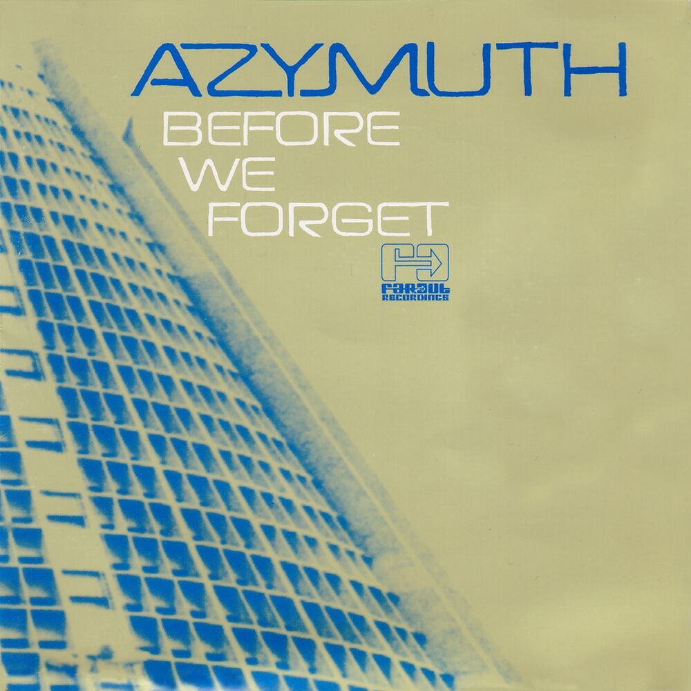 Picture of Before We Forget