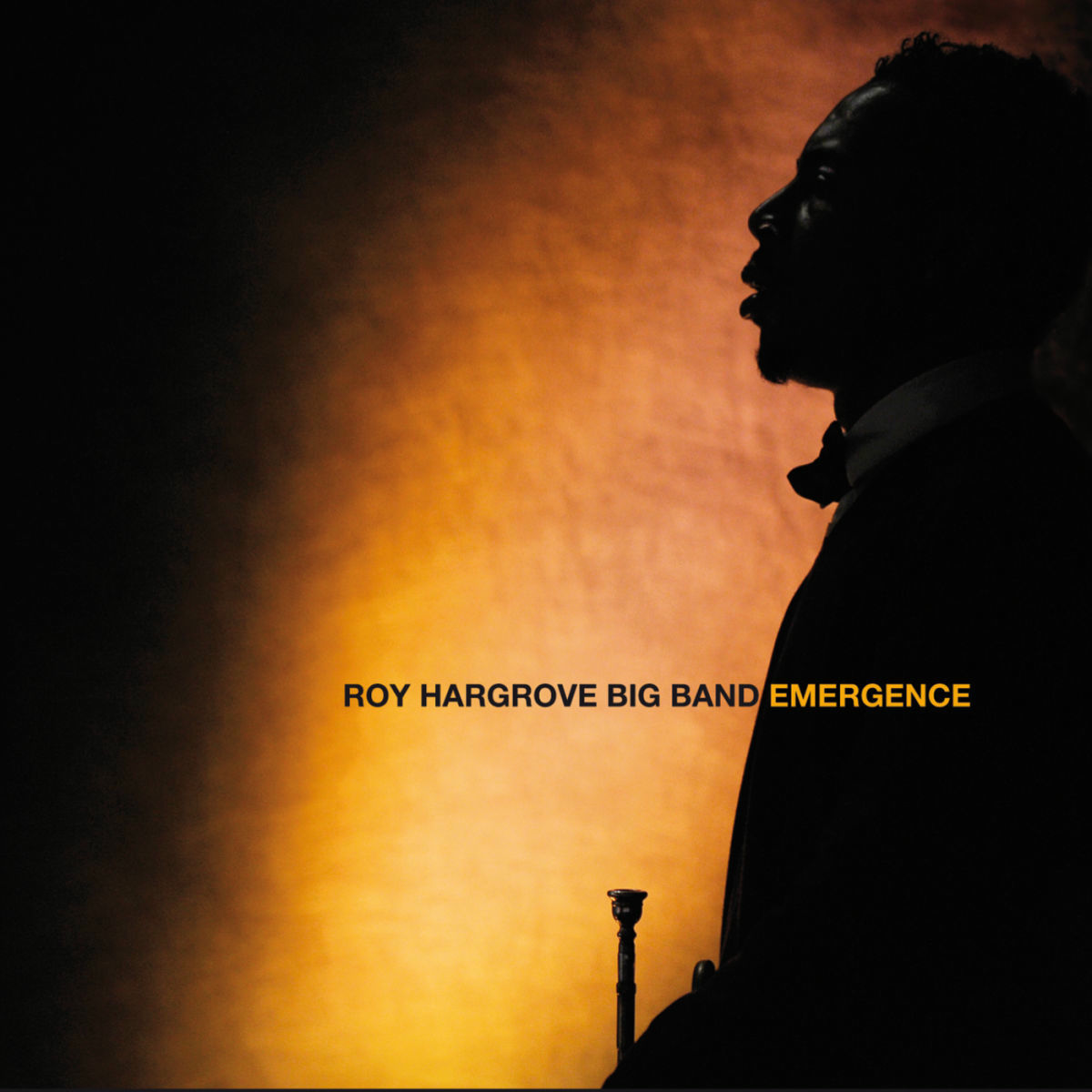 Album cover of Emergence