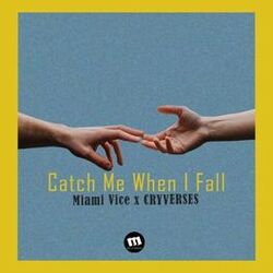 Cover of Catch Me When I Fall