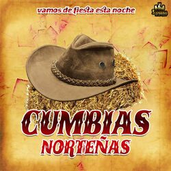 Cover of Vamos De Fiesta Esta Noche