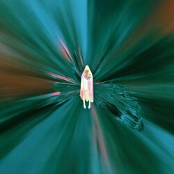 Cover of Iridescent