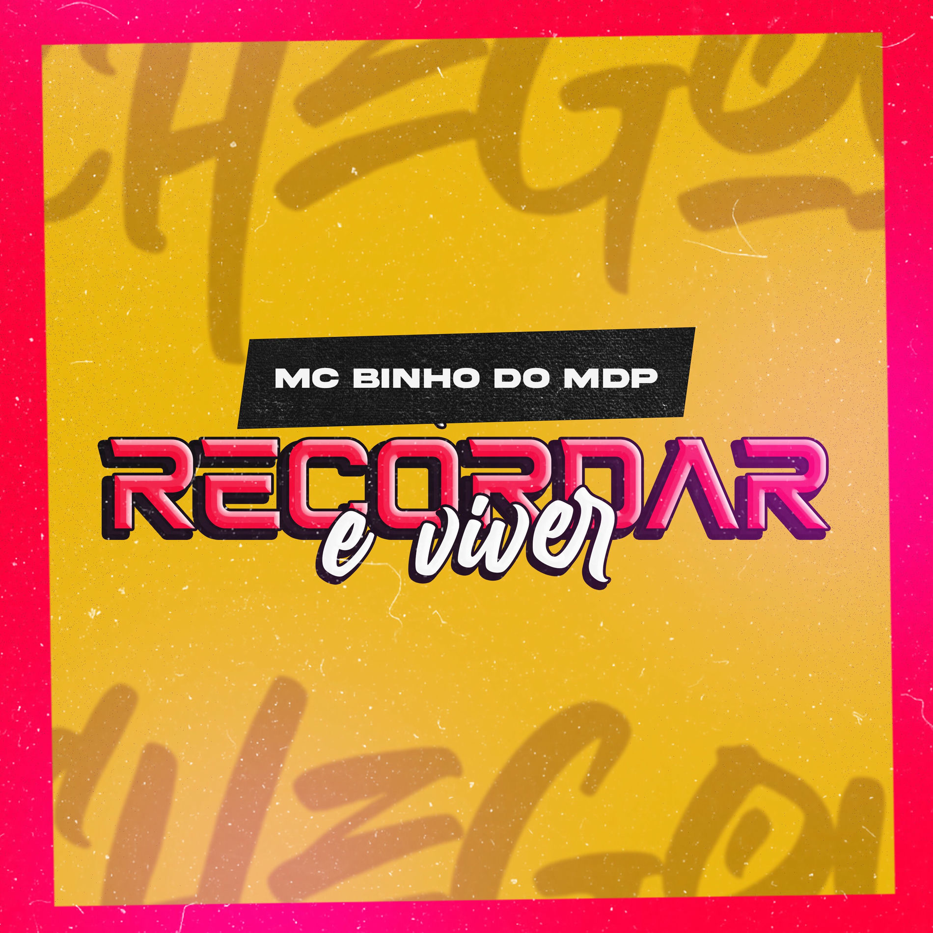 Album cover of Recordar e Viver