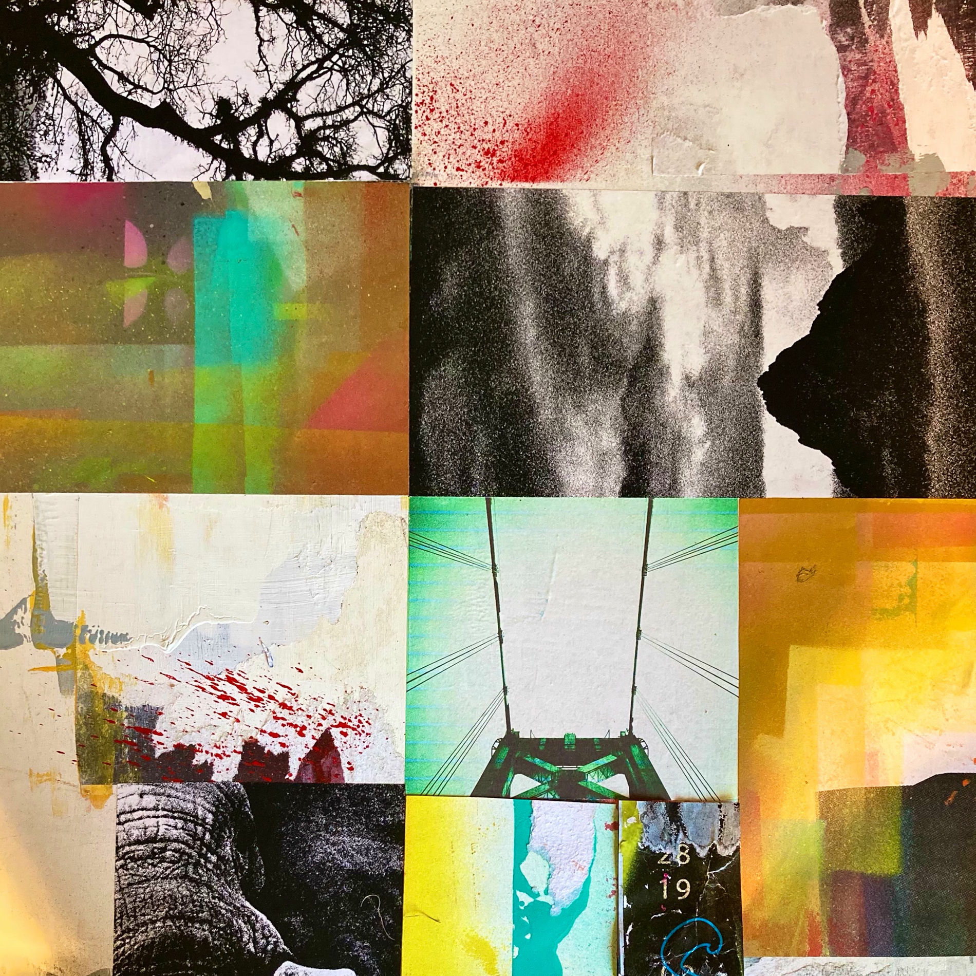 Album cover of Cryptic Signals