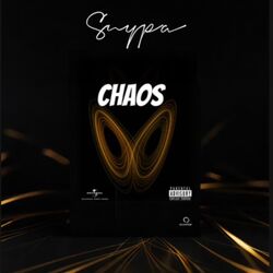 Cover of Chaos