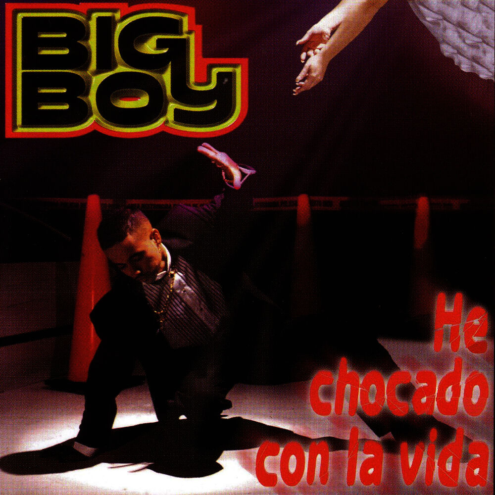 Picture of He Chocado Con La Vida