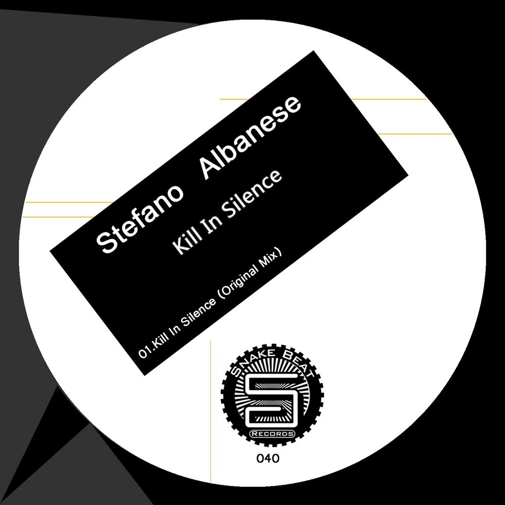 Picture of Kill in Silence