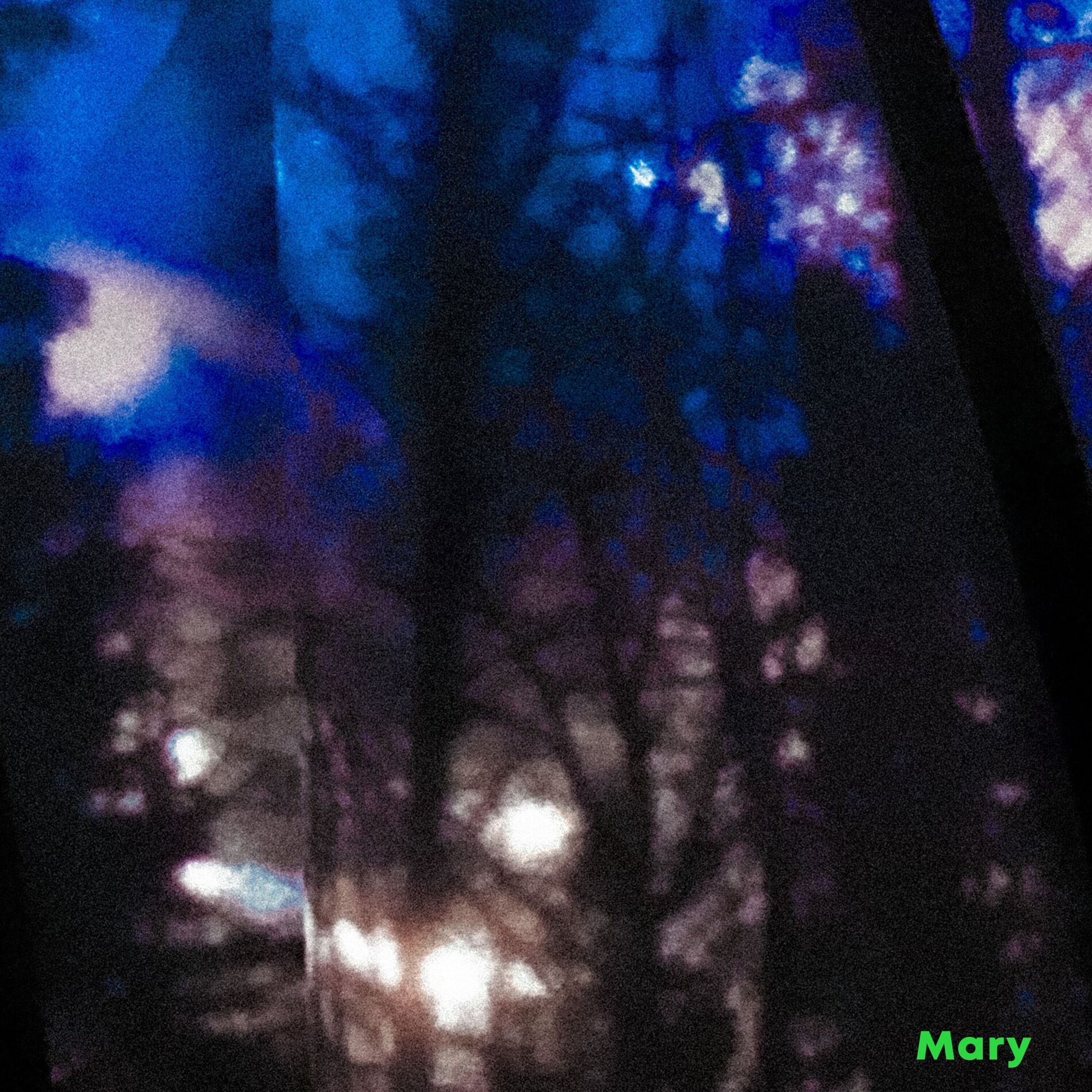 Album cover of Mary