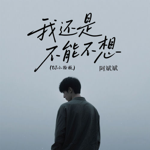 我还是不能不想 (Dj小拾版)