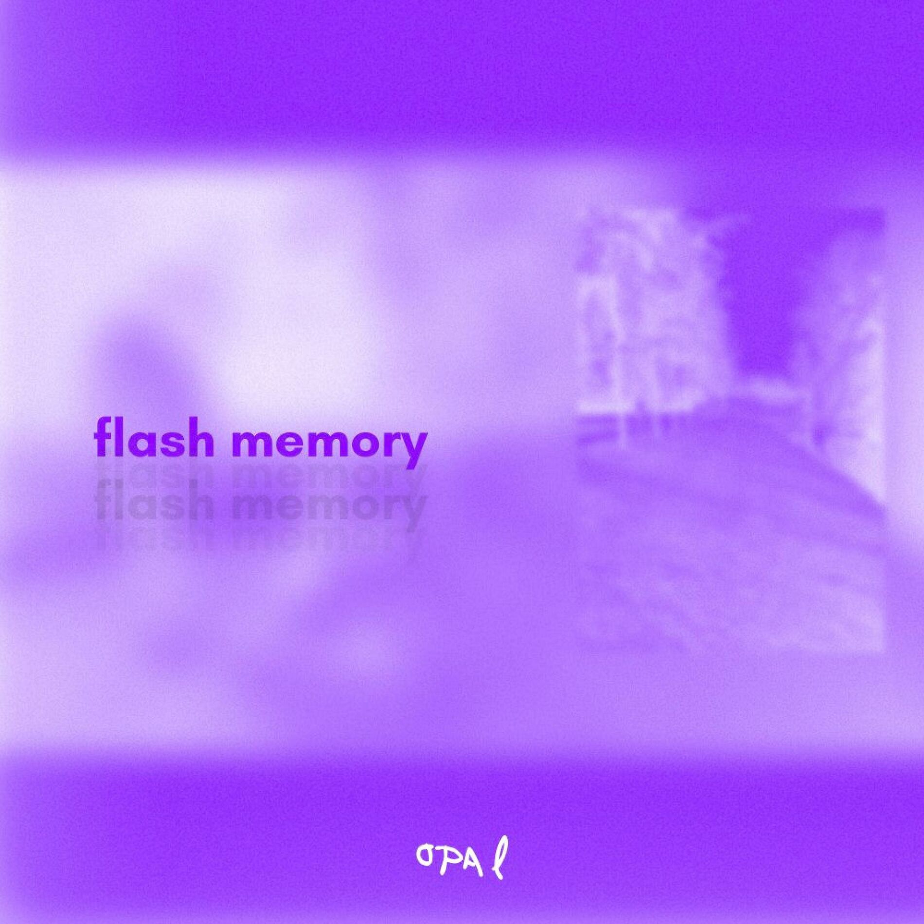 Album cover of flash memory