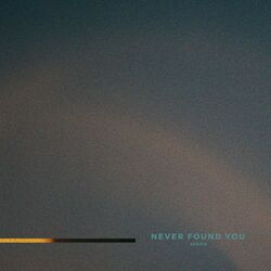 Cover of Never Found You
