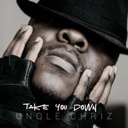 Cover of Take You Down