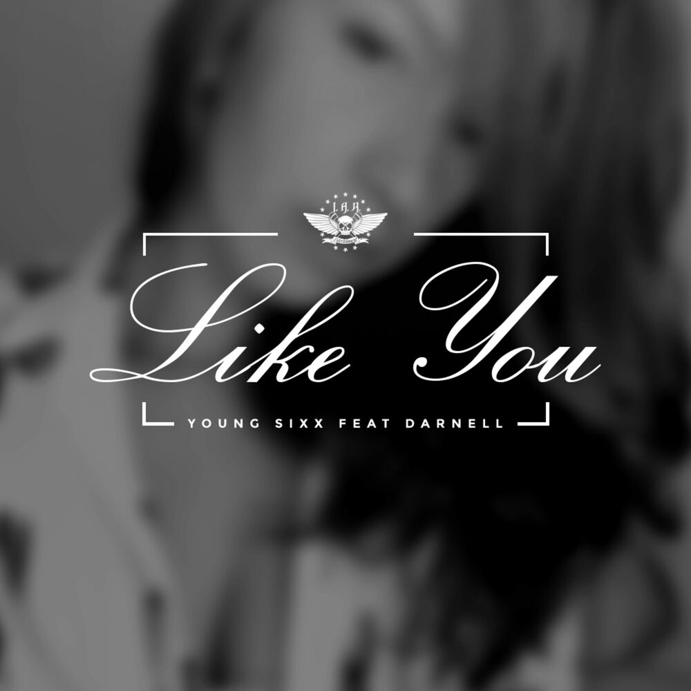 Picture of Like You (feat. Darnell)