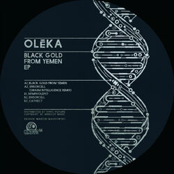 Cover of Black Gold From Yemen