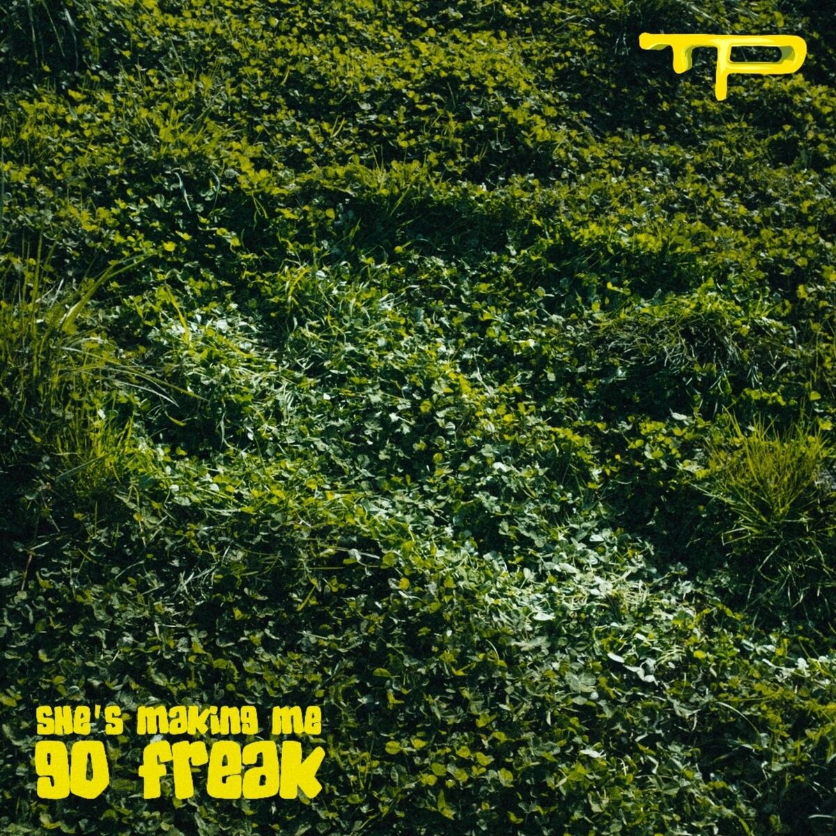Album cover of She's Making Me Go Freak