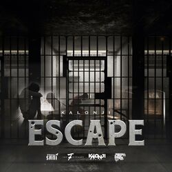 Cover of Escape