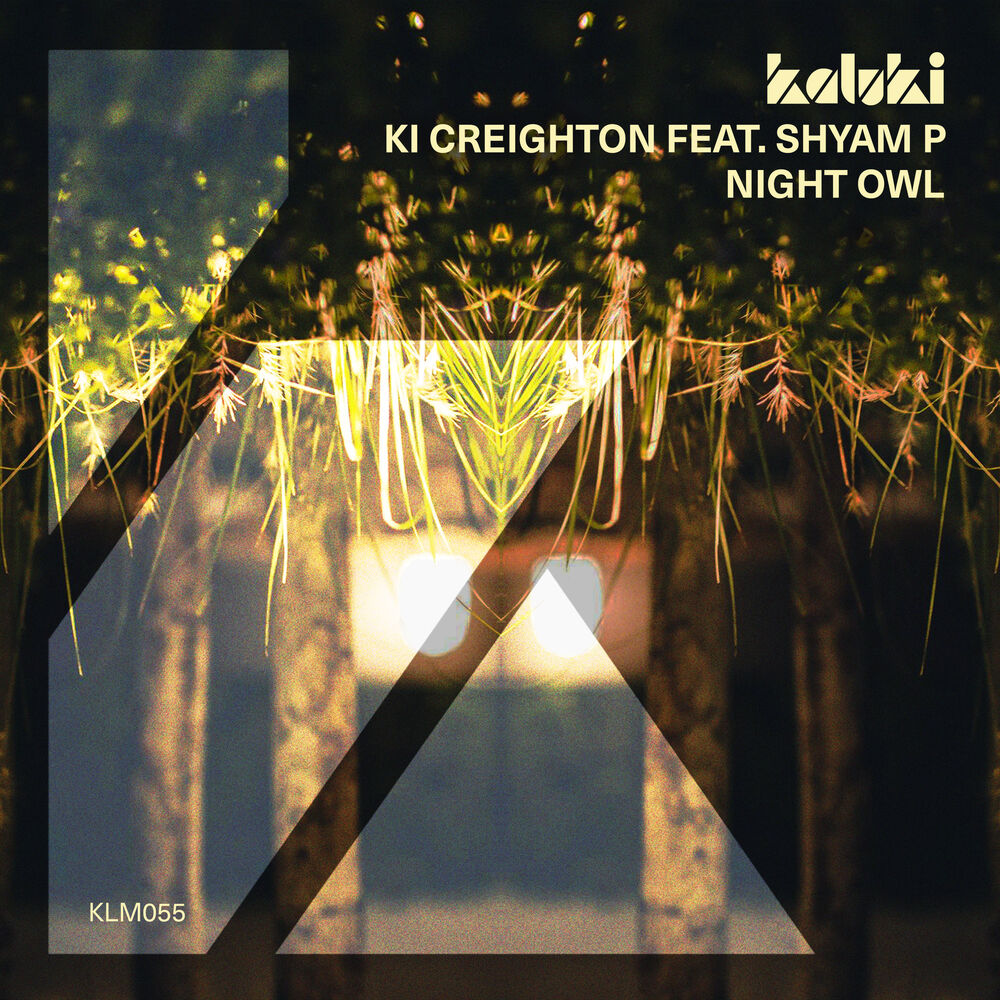 Picture of Night Owl