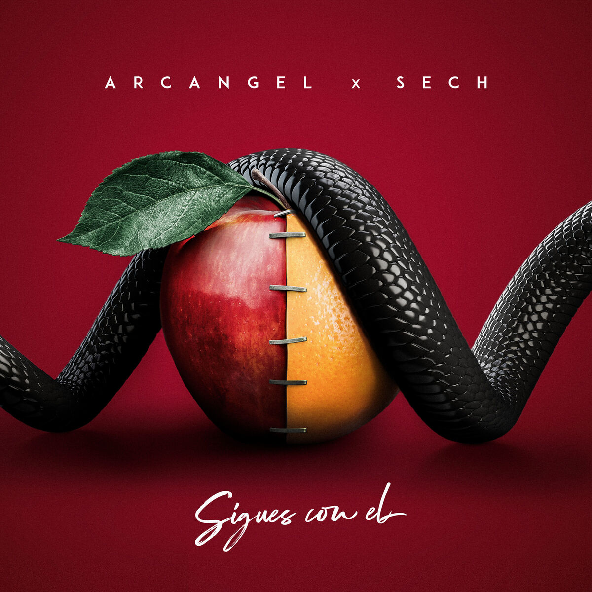 Album cover of Sigues Con El