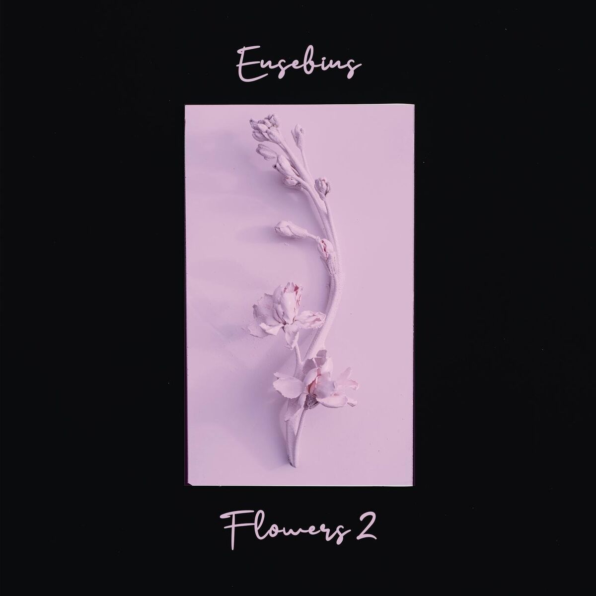 Album cover of Primrose