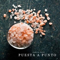 Cover of Puesta a Punto