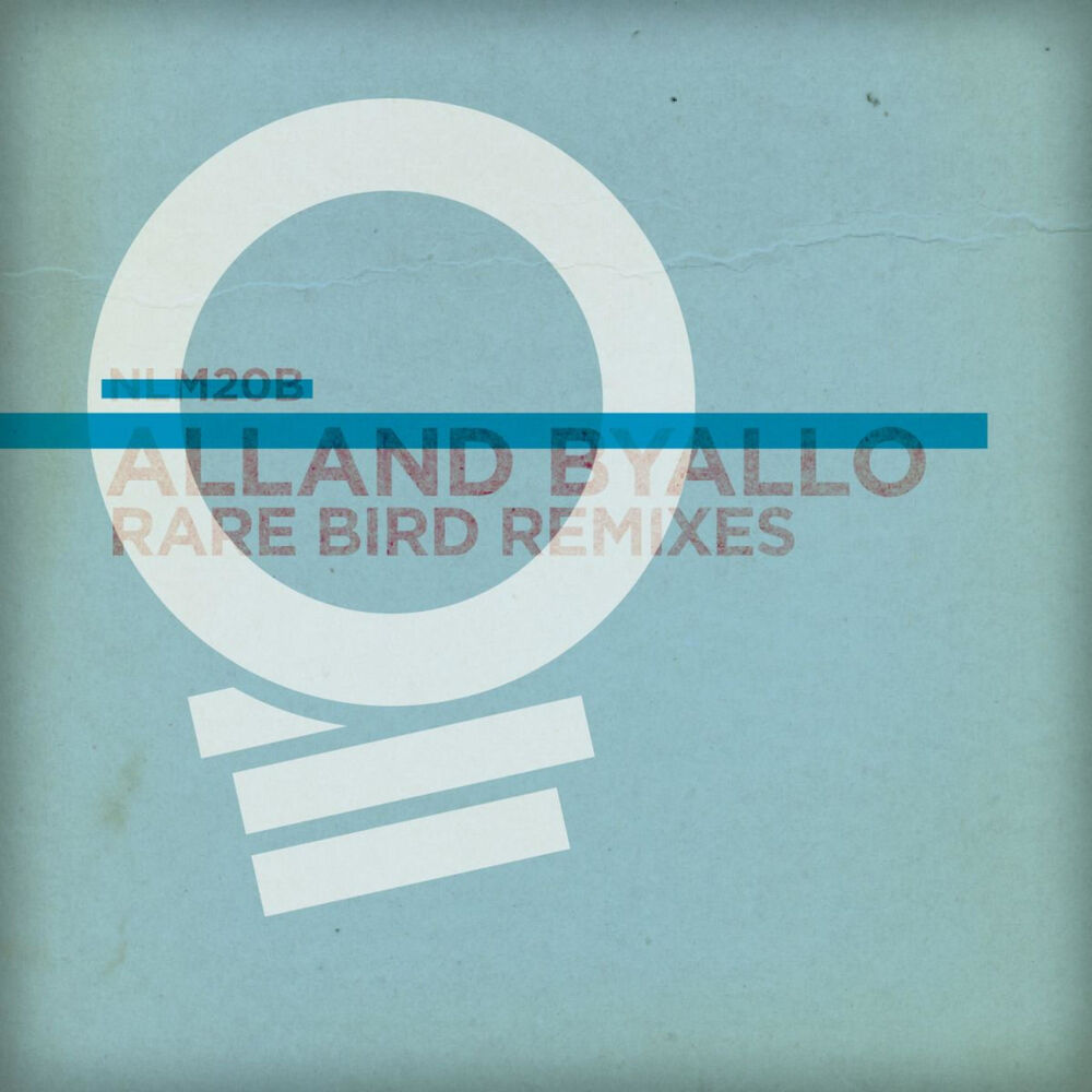 Picture of Rare Bird Remixes