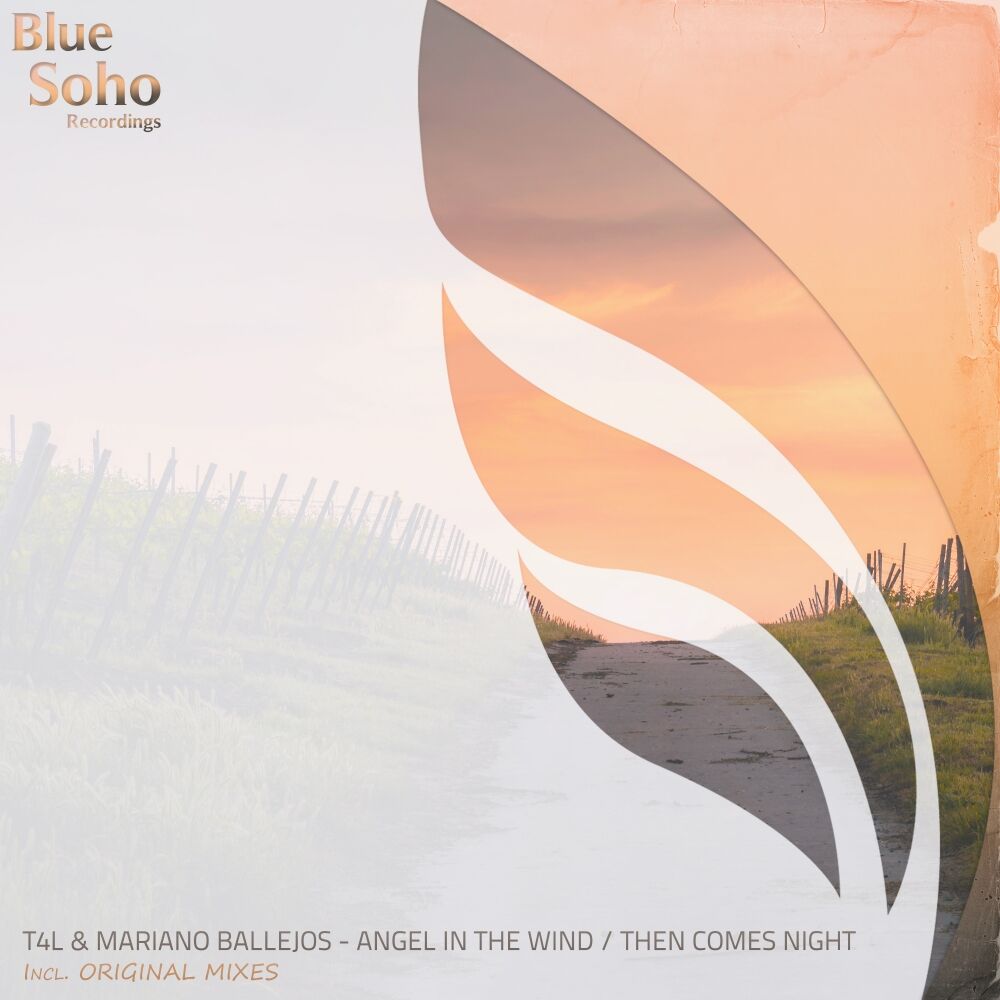 Picture of Angel In The Wind / Then Comes Night