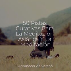 Cover of 50 Pistas Curativas Para La Meditación Asiática Y La Meditación