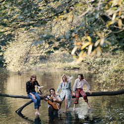 Cover of Wild Life