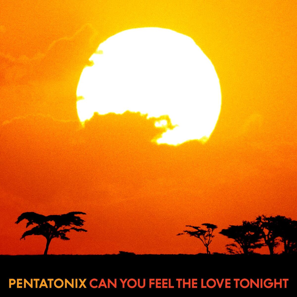 Album cover of Can You Feel the Love Tonight