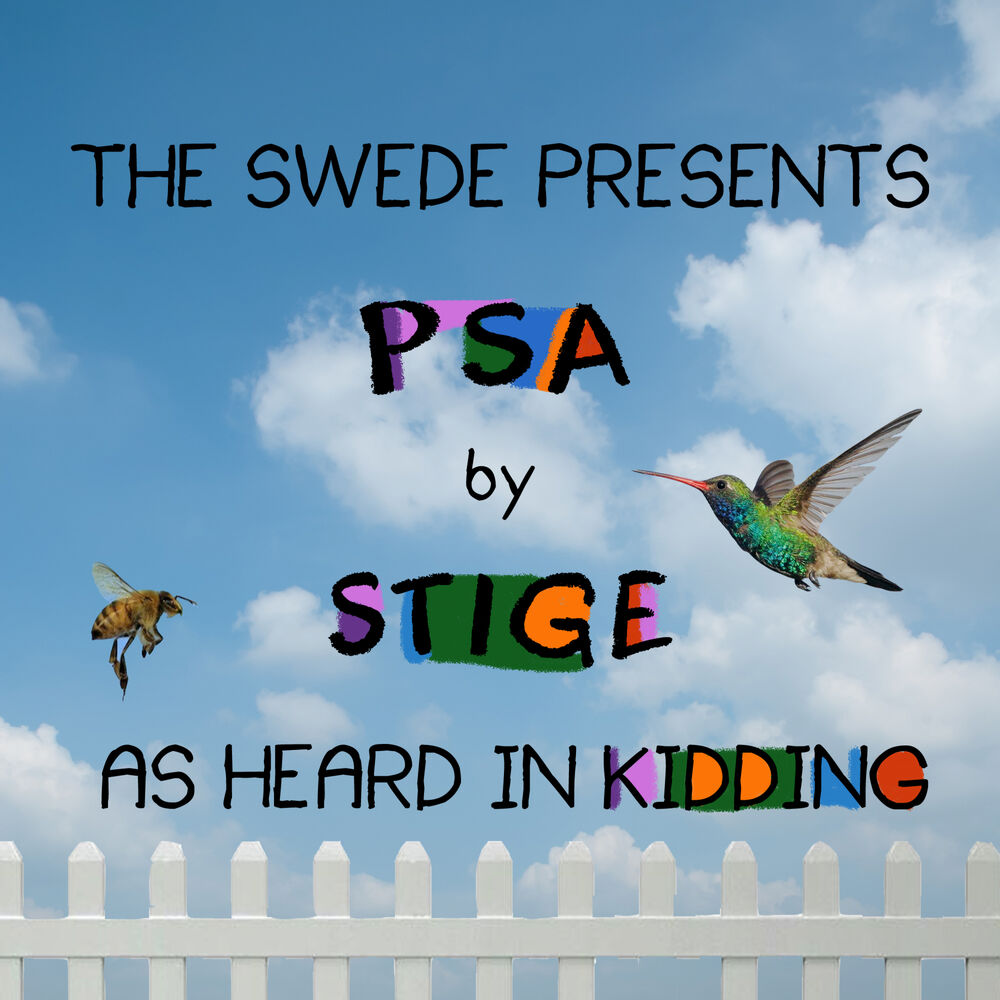 Picture of PSA (As Heard in Kidding)