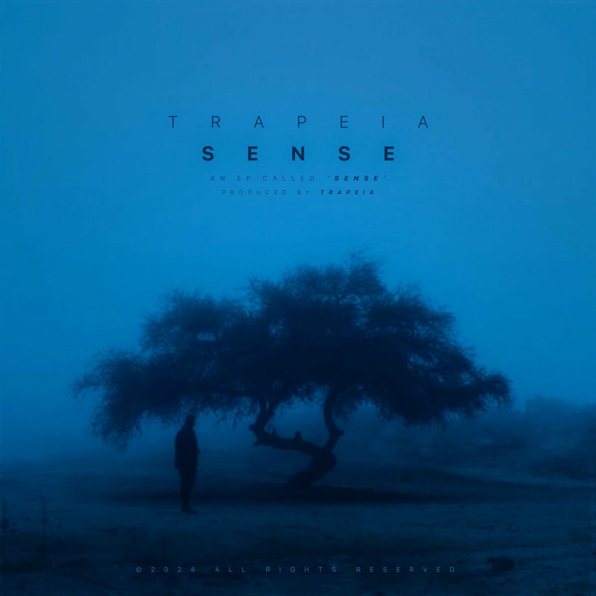 Album cover of sense