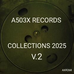 Cover of A503X RECORDS COLLECTIONS 2025 V.2