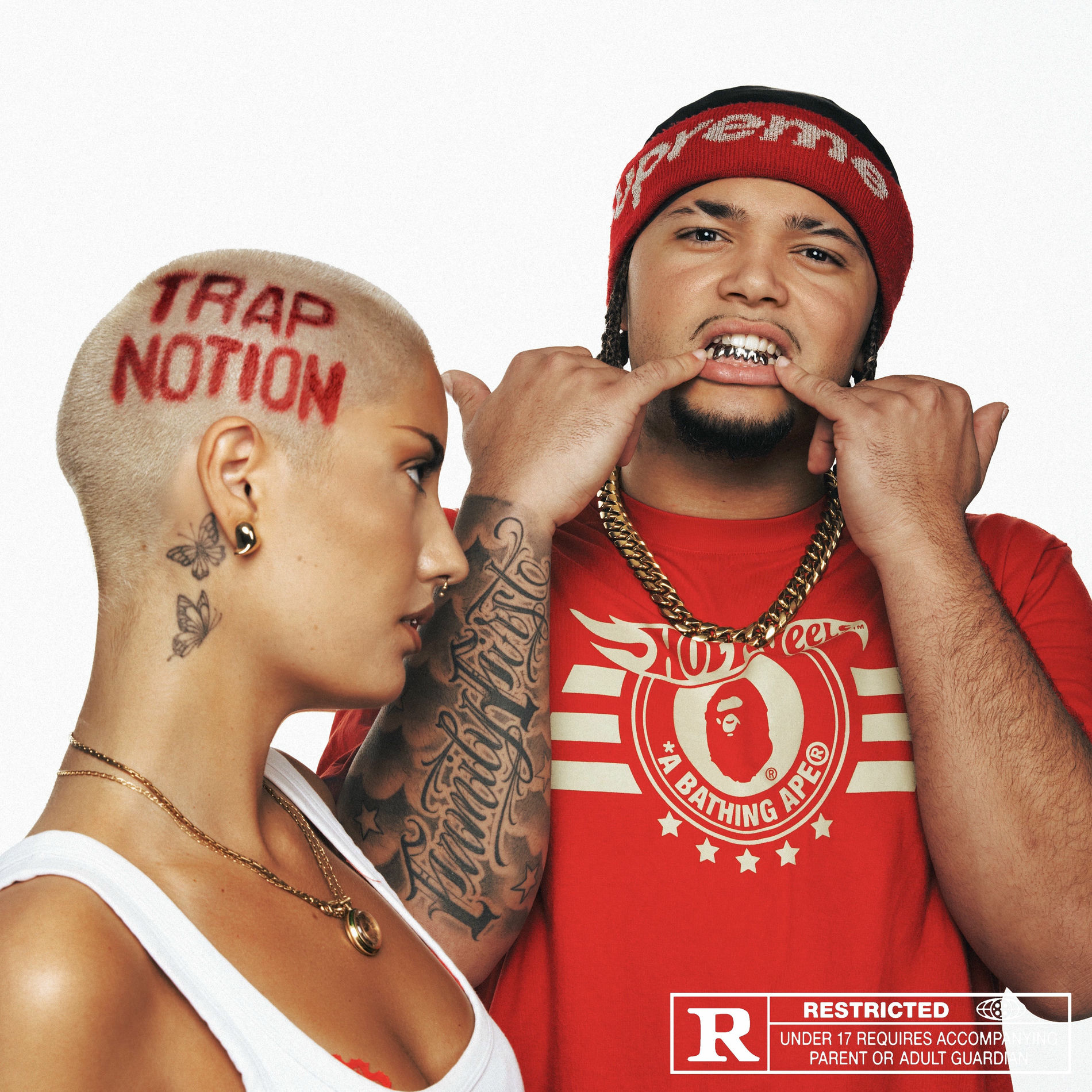 Album cover of TRAP NOTION