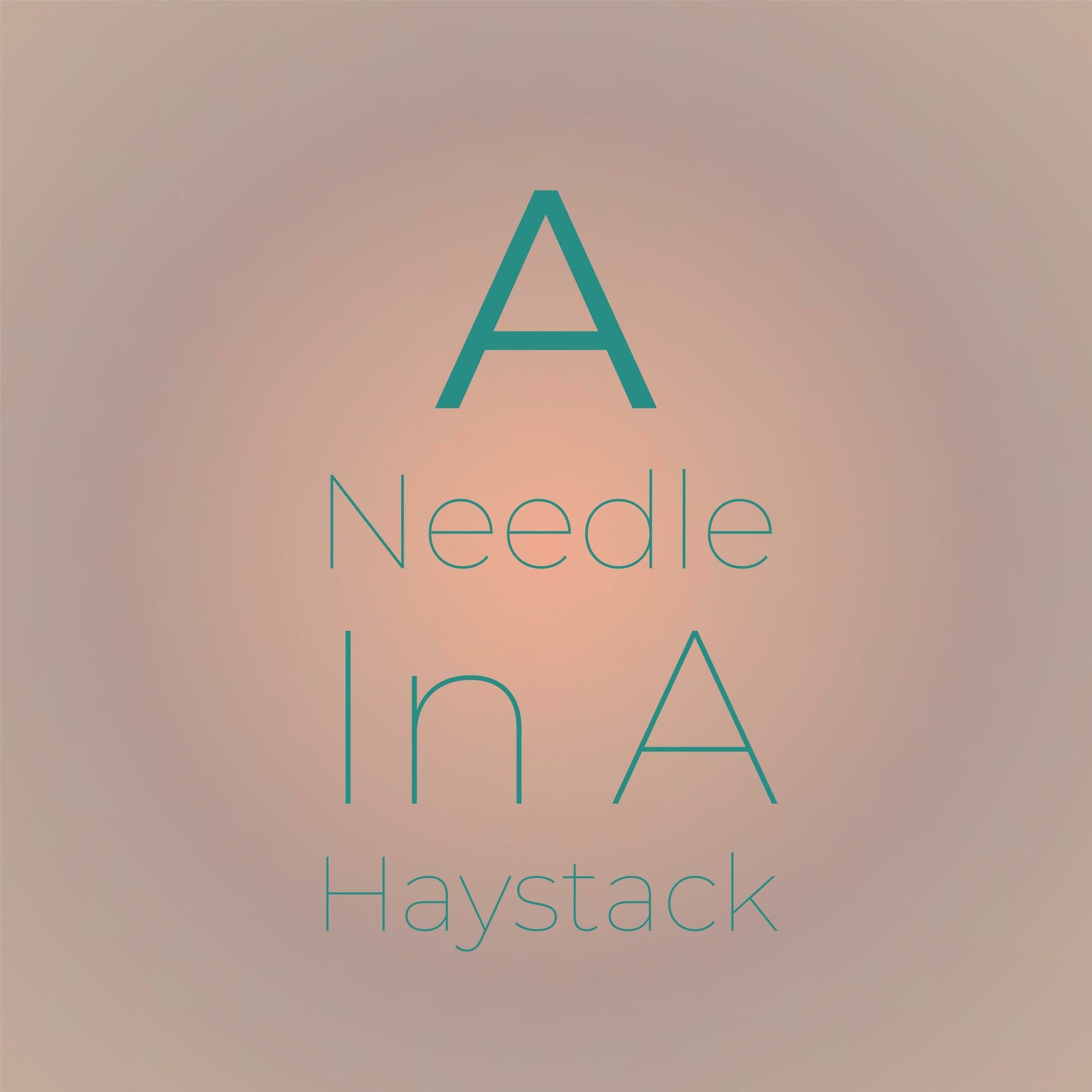 Album cover of A Needle In A Haystack