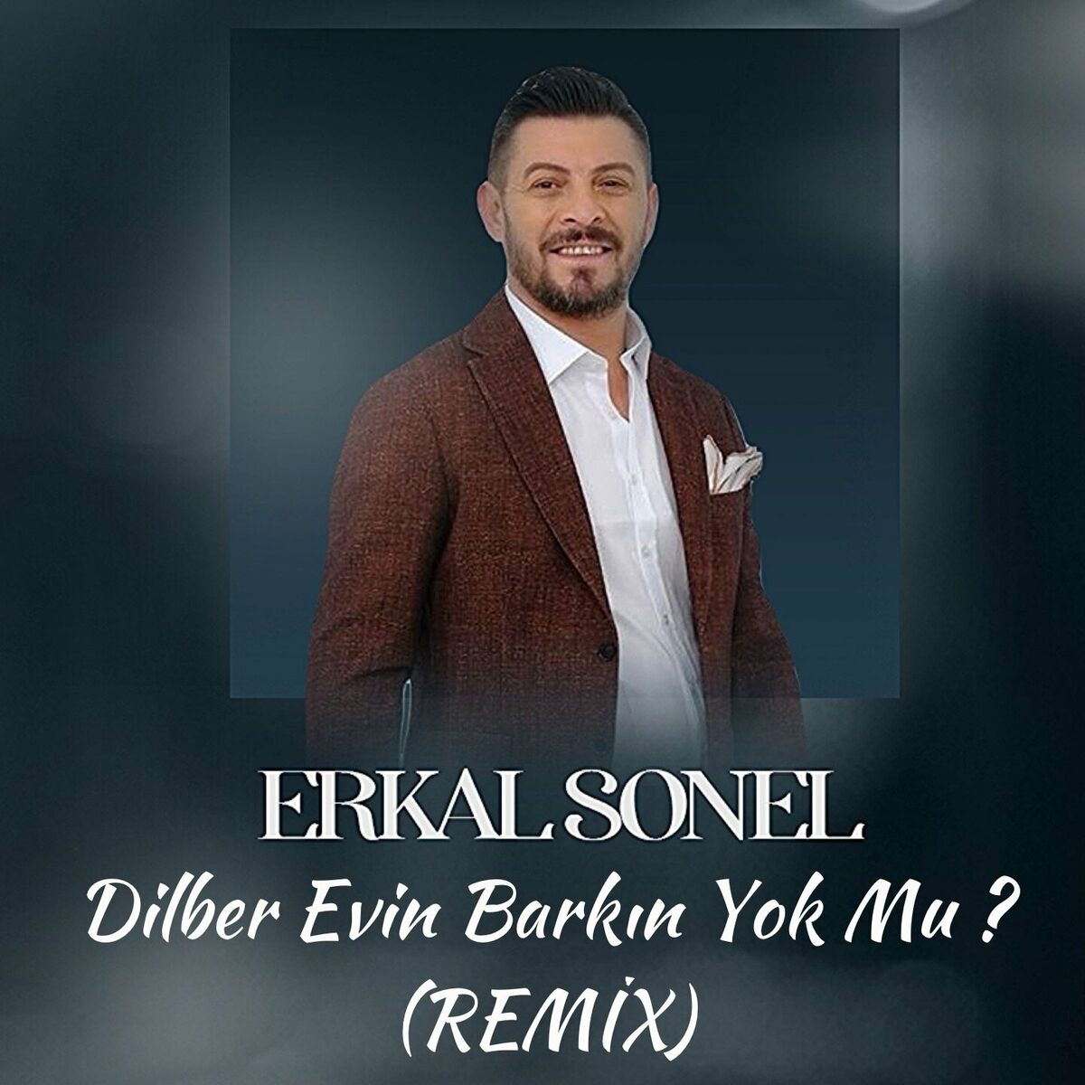 Album cover of Dilber Evin Barkın Yok Mu