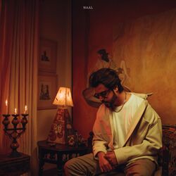 Cover of NAAL
