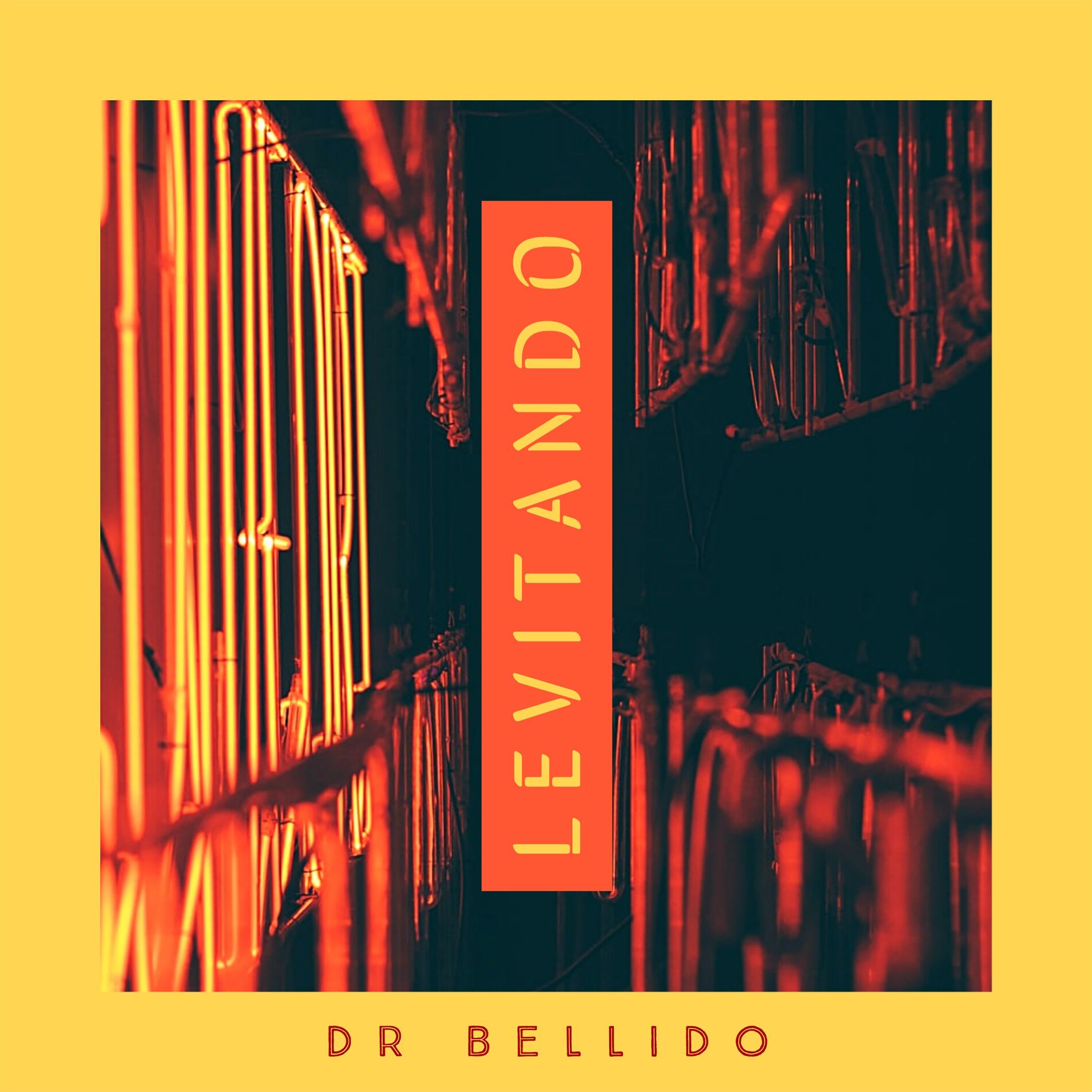 Album cover of Levitando