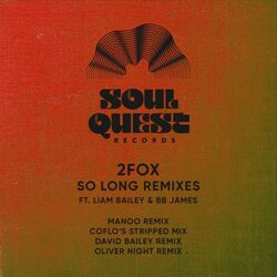 Cover of So Long Remixes